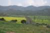 dsc_0895_small.jpg