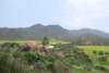 dsc_0896_small.jpg