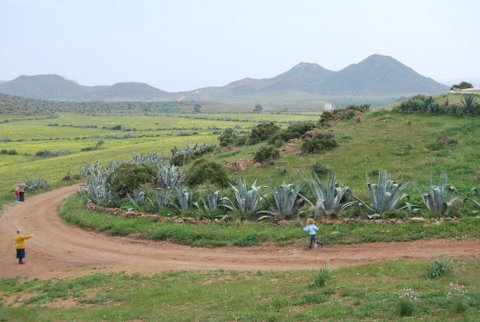 dsc_0898.jpg