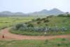dsc_0898_small.jpg
