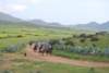 dsc_0900_small.jpg