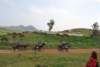 dsc_0901_small.jpg