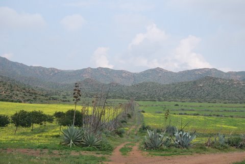 dsc_0903.jpg