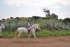 dsc_0910_small.jpg
