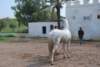 dsc_0916_small.jpg