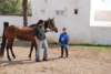 dsc_0924_small.jpg