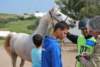 dsc_0949_small.jpg