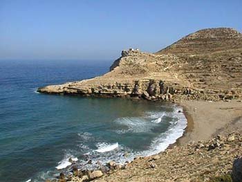 calas.jpg