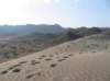desiertodelparque_small.jpg