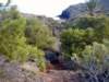 parquenatural13_small.jpg