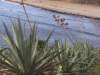 parquenatural14_small.jpg