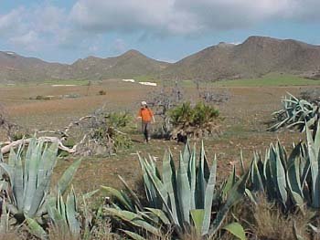 parquenatural4.jpg