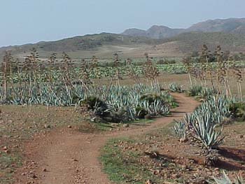 parquenatural5.jpg