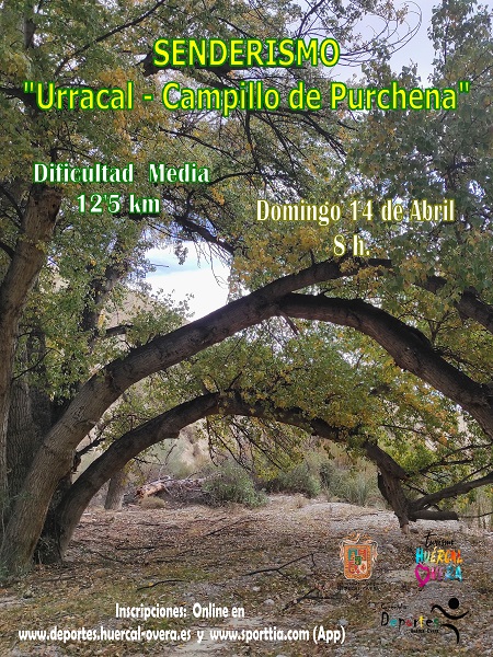 Imagen de cabecera