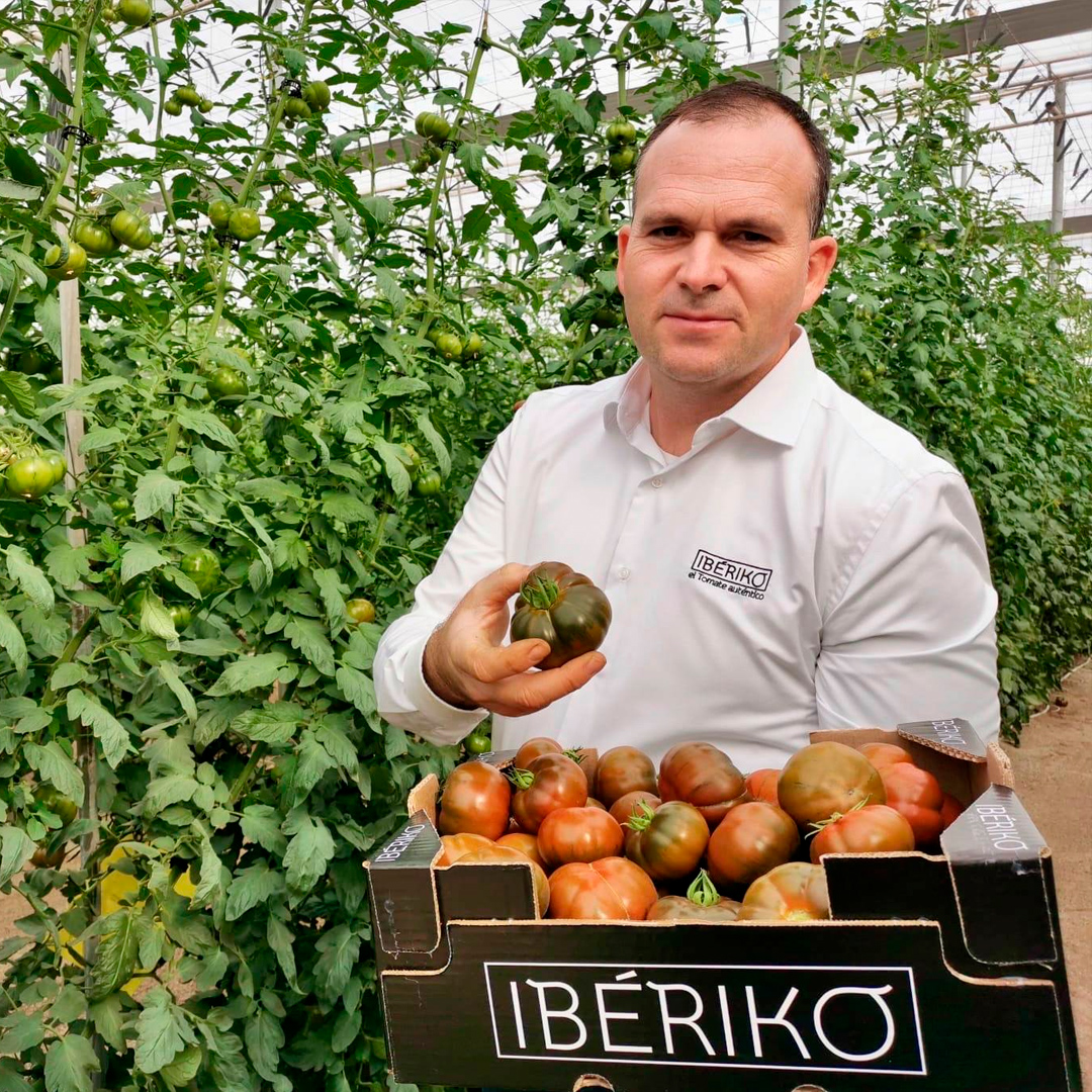 Iberiko