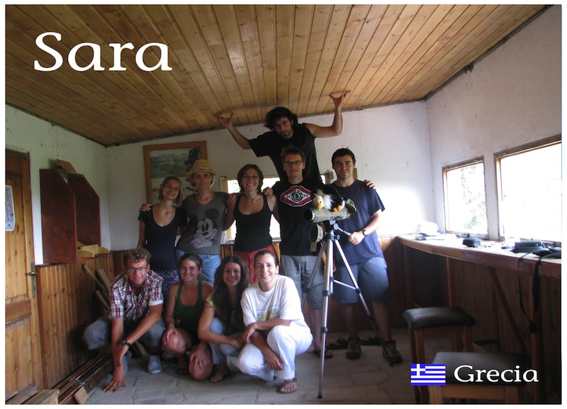 Ver imagen
