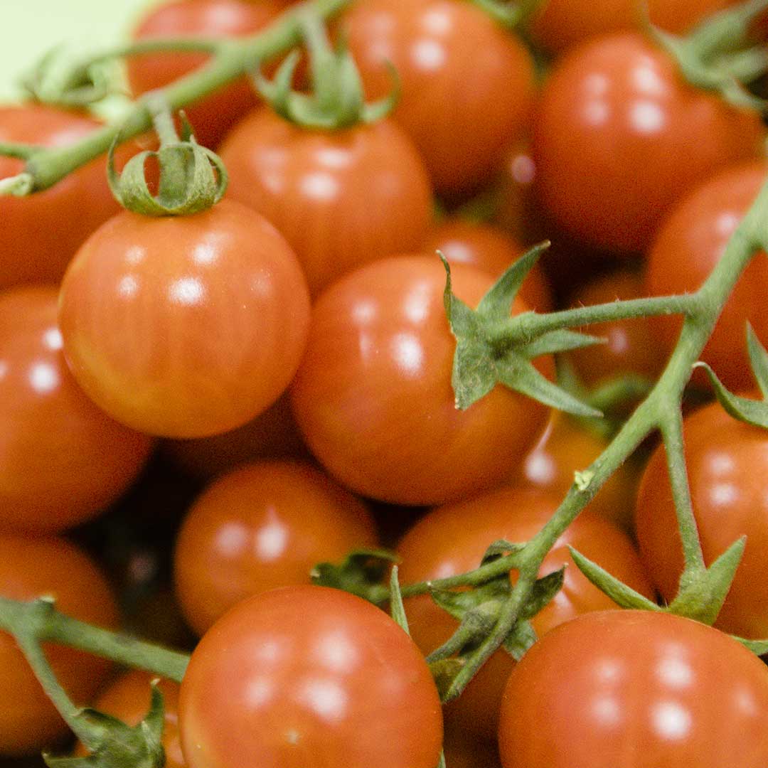 Sabores Almería