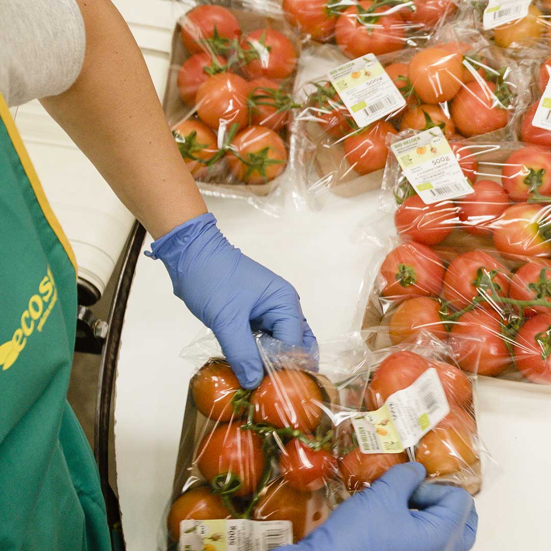 Sabores Almería