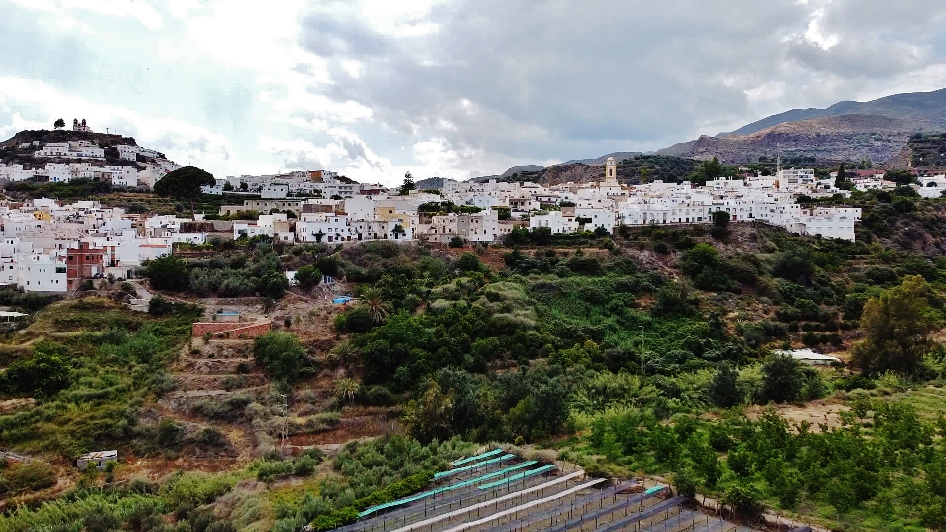 árboles de canjáyar