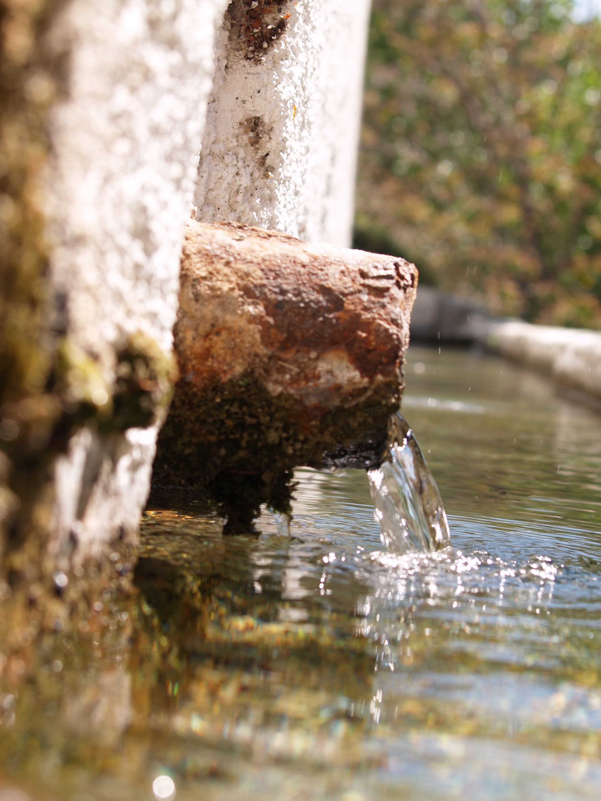 Caño
