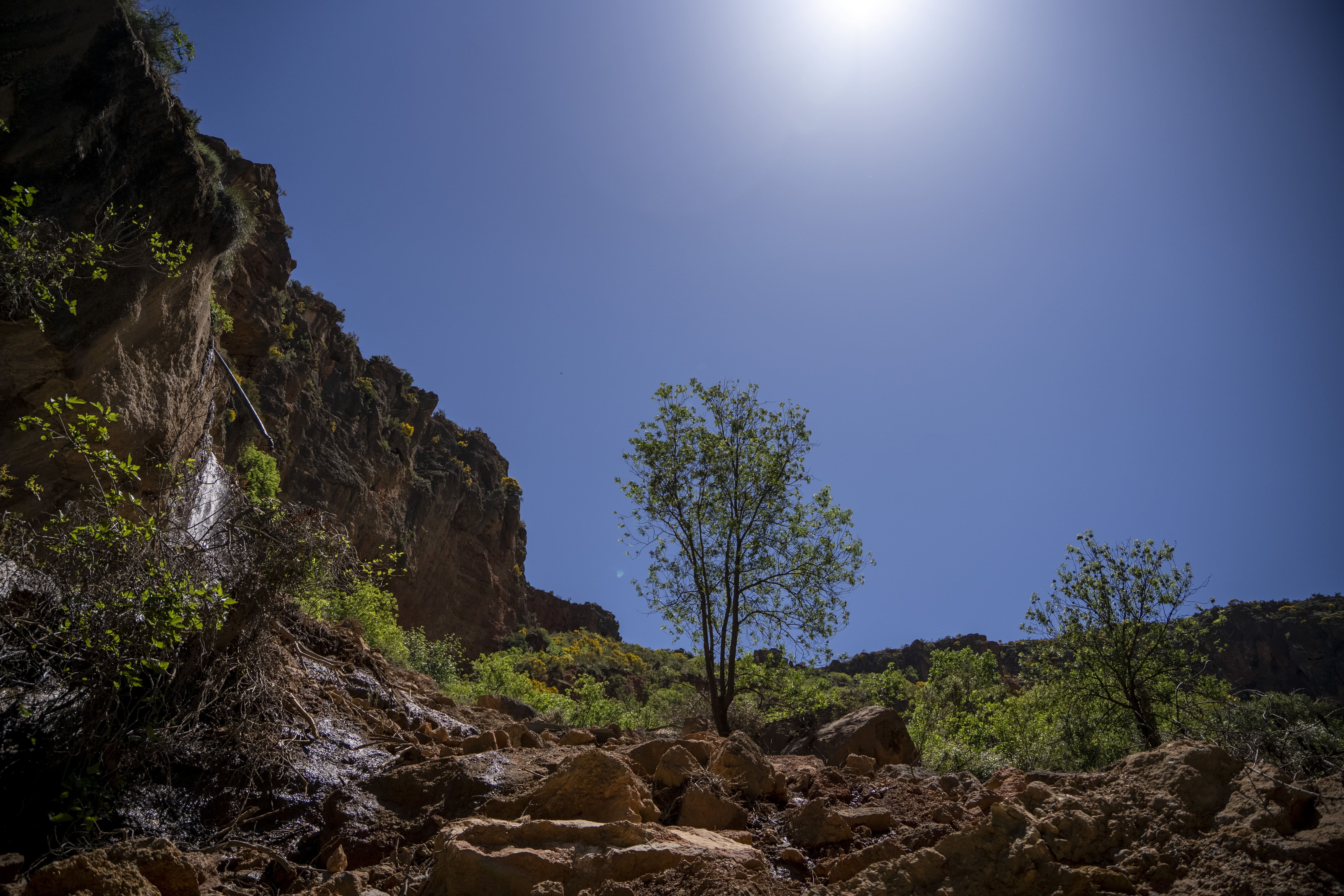 paisaje de padules