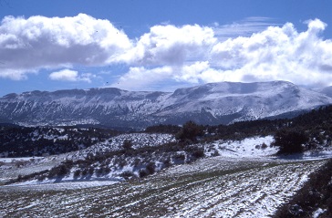Sierra