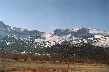 sierra