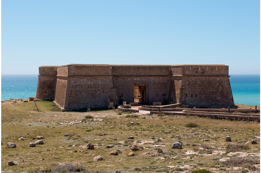 Castillo de Guardias Viejas