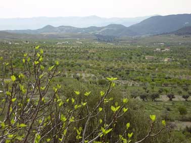 Ogarite desde la Hermita