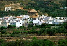 almocita.jpg