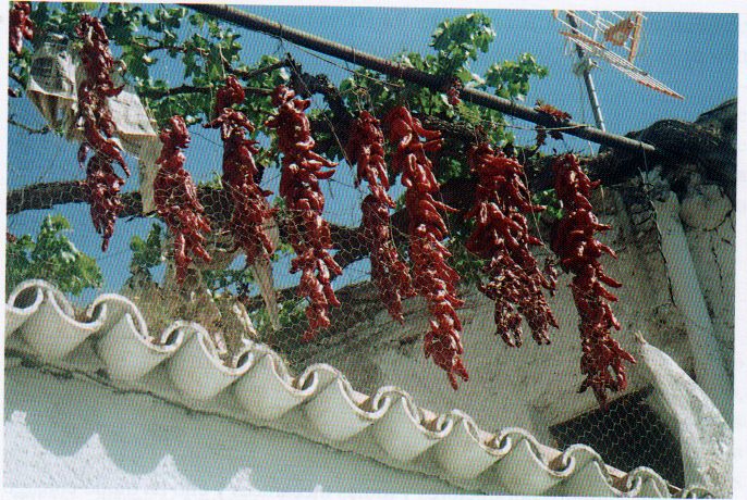 Azoteas