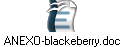 ANEXO-blackeberry.doc