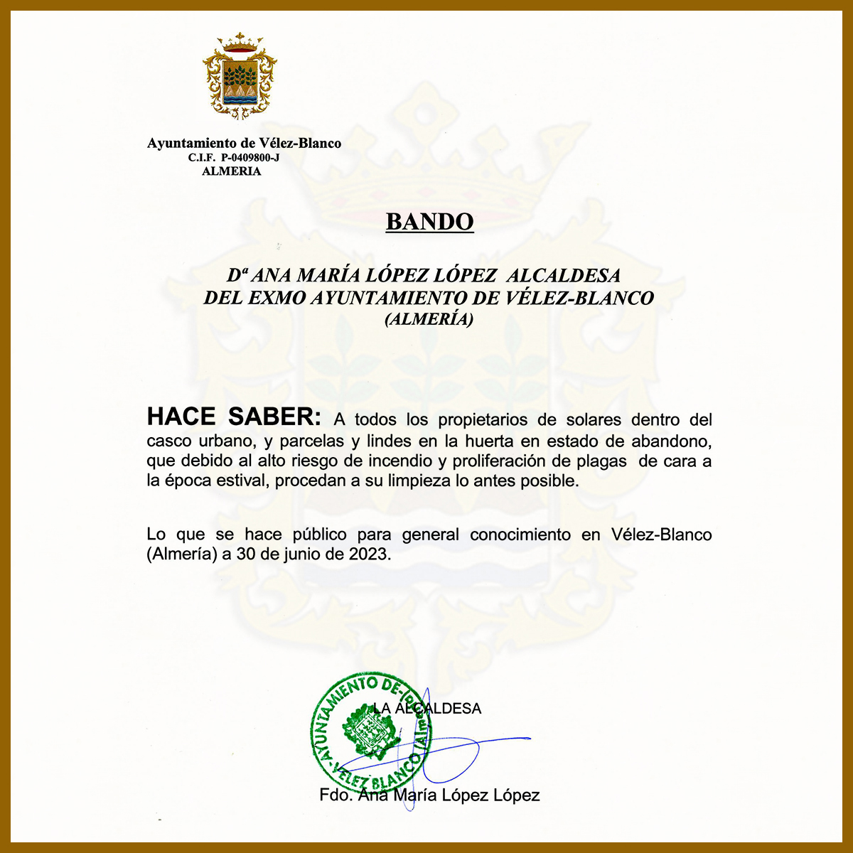 BANDO MUNICIPAL