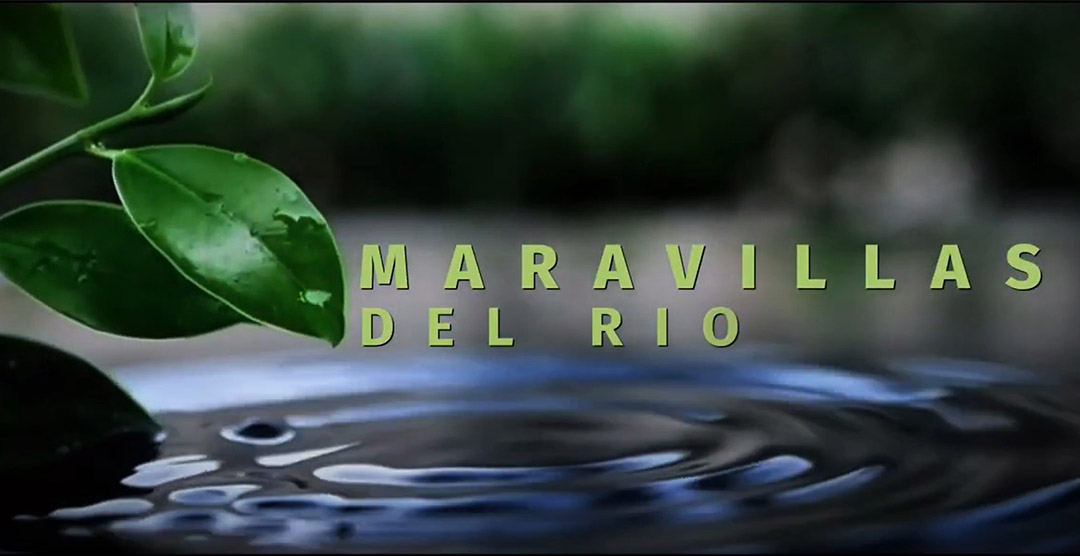 MARAVILLAS DEL RÍO