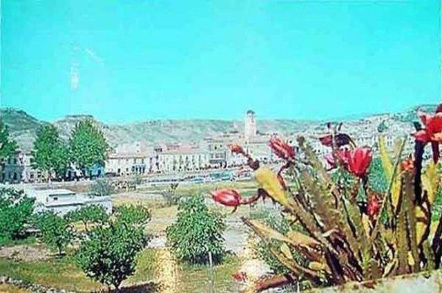 photo1.jpg