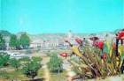 photo1_small.jpg