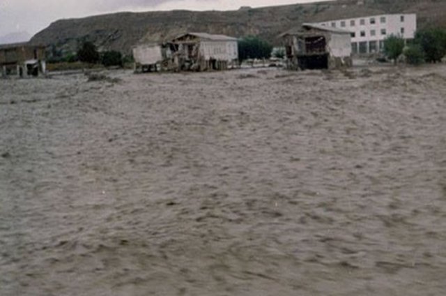 photo23.jpg