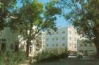 photo61_small.jpg